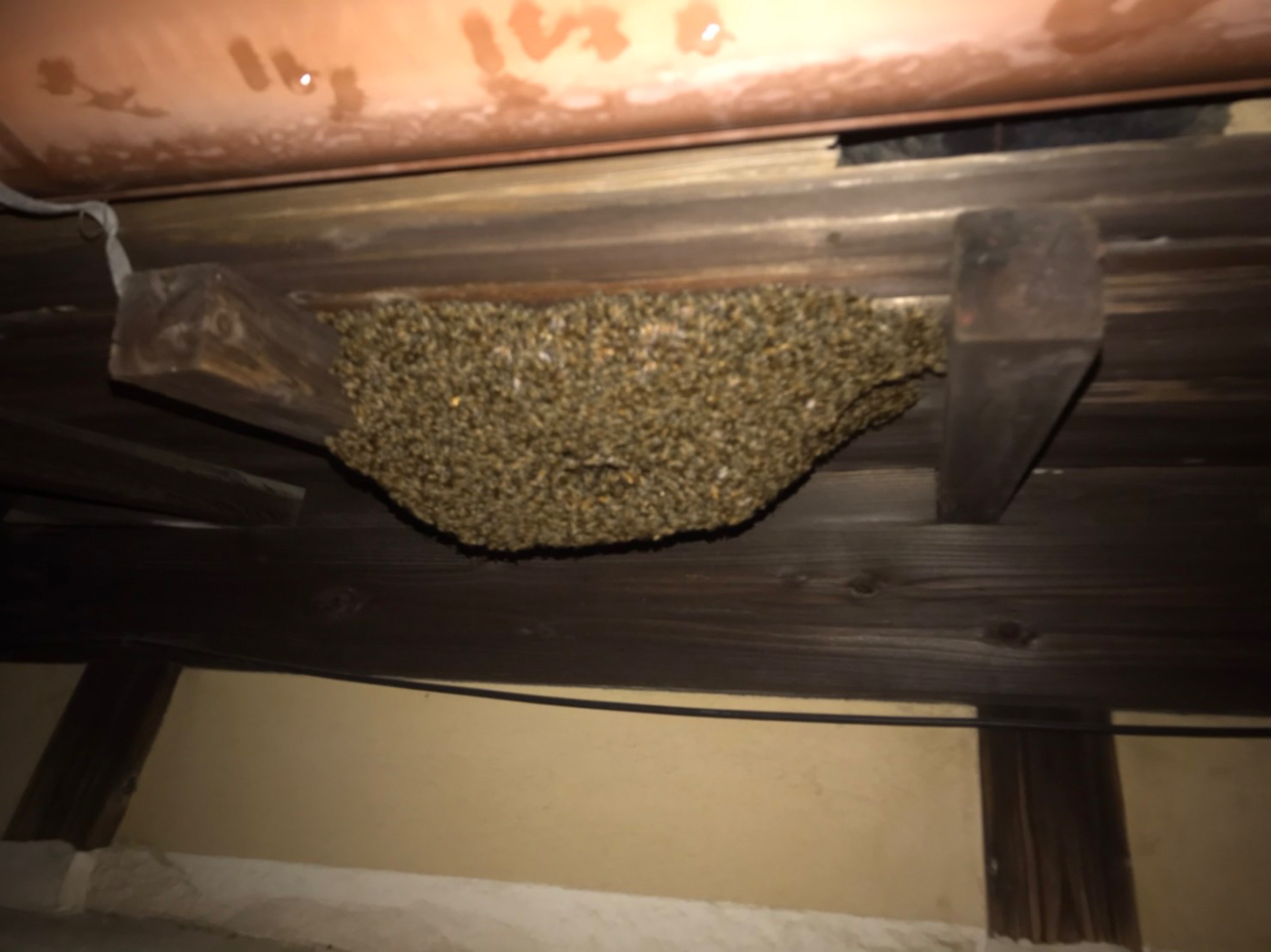 屋根裏のミツバチの巣