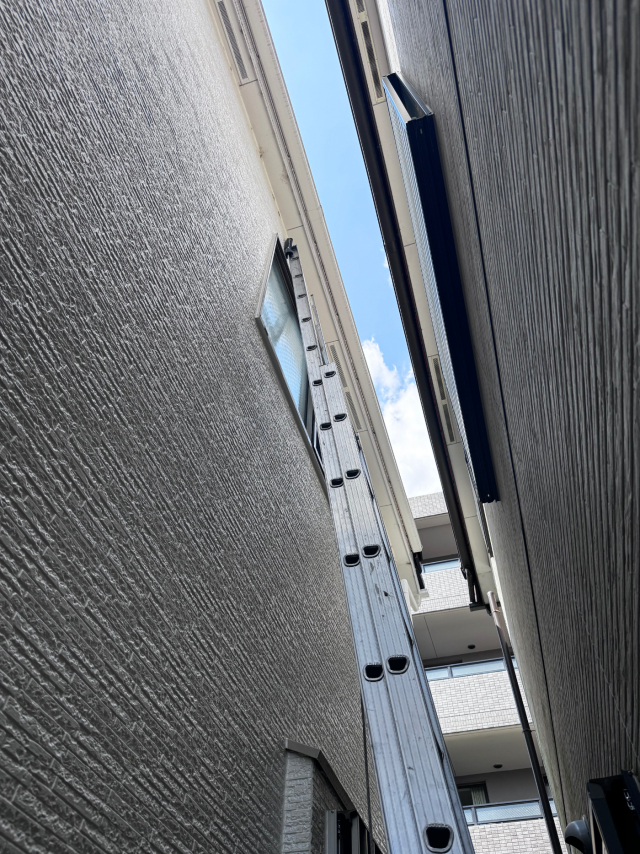 高所のアシナガバチの巣にハシゴをかけている